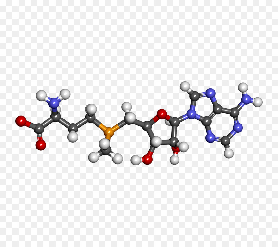 Estructura Molecular，Molécula PNG