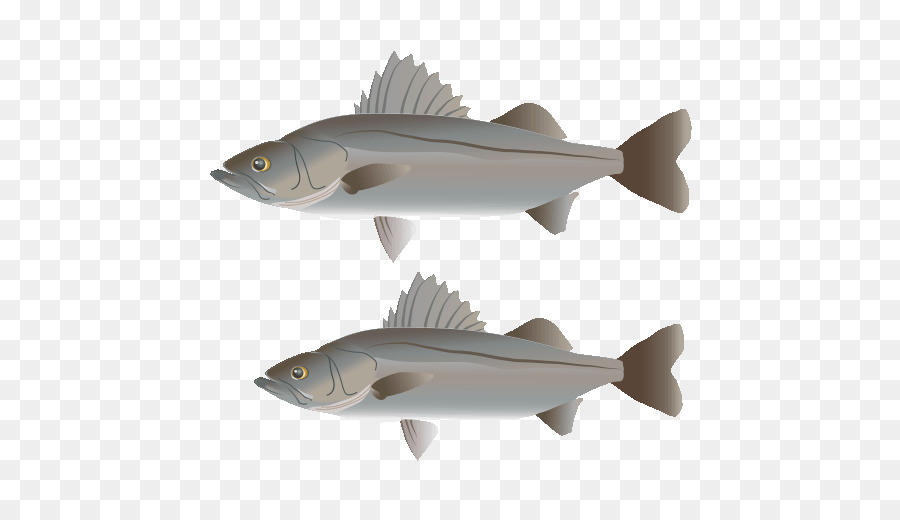 Squaliform Tiburones，Requiem Tiburones PNG