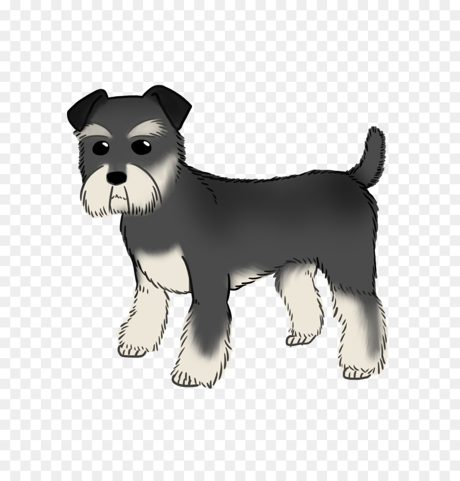 Schnauzer Miniatura，Cachorro PNG