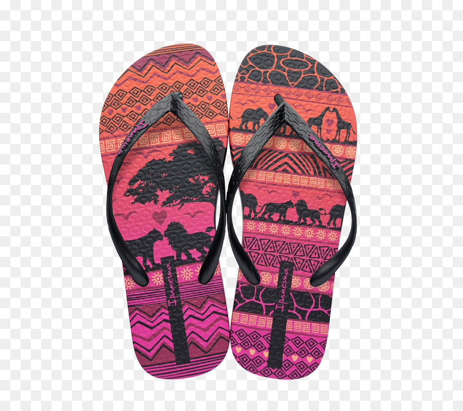 Chanclas，Rosa M PNG