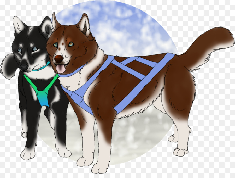 Raza De Perro，Shikoku PNG