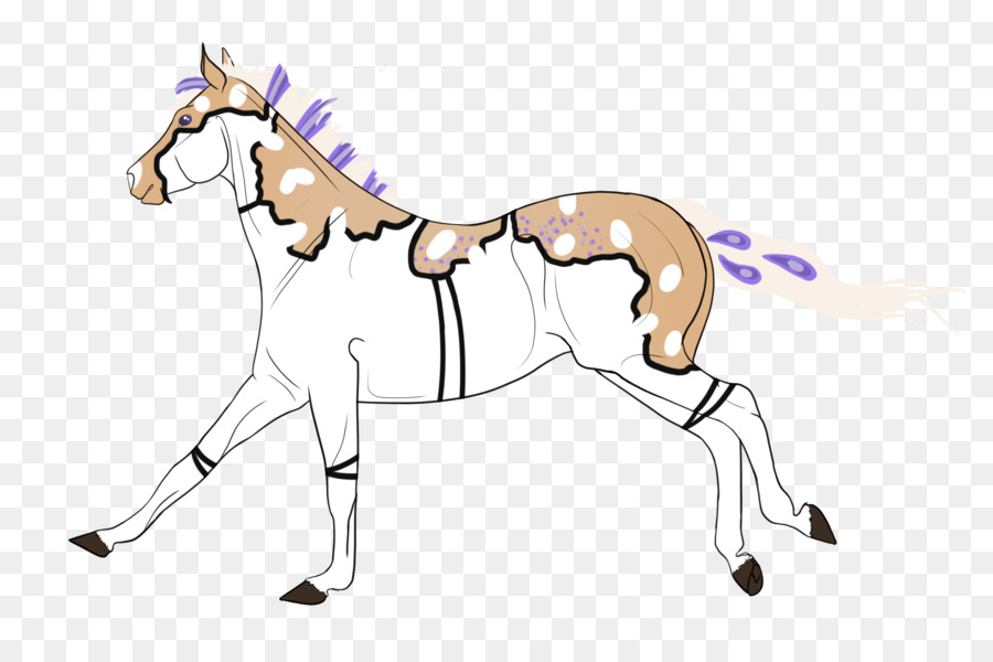 Caballo，Ecuestre PNG