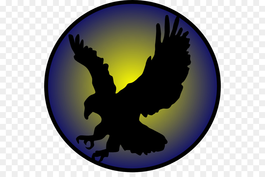 águila Calva，águila PNG