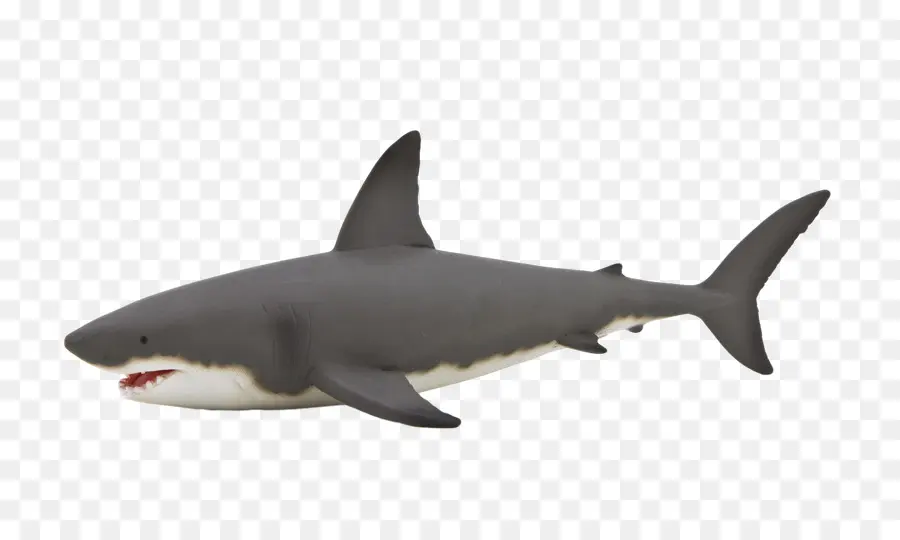 Tiburón，Gran Tiburón Blanco PNG