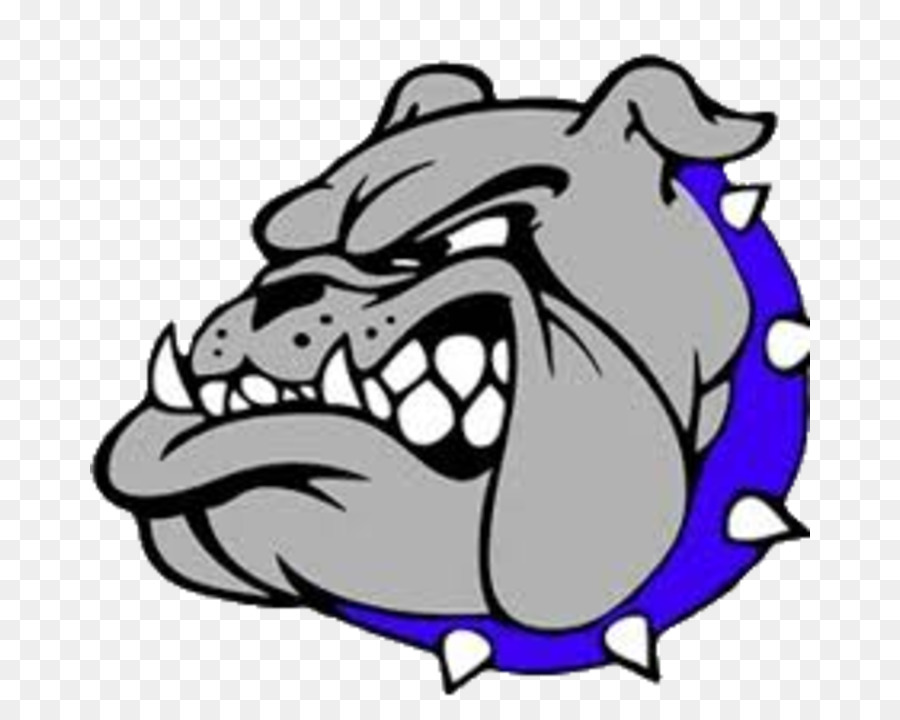 Bulldog，Louisville Masculino De La Escuela Secundaria PNG