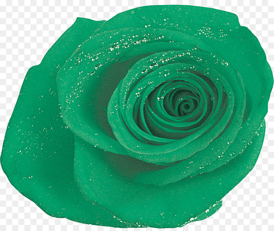 Rosa Verde，Rosa PNG