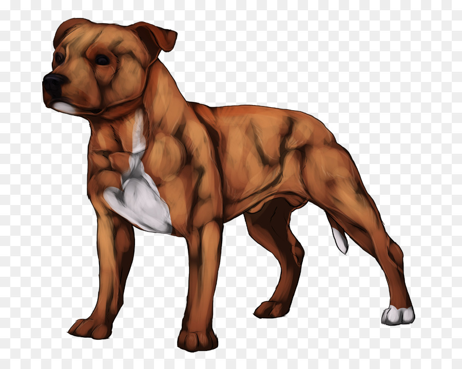 Raza De Perro，American Pit Bull Terrier PNG