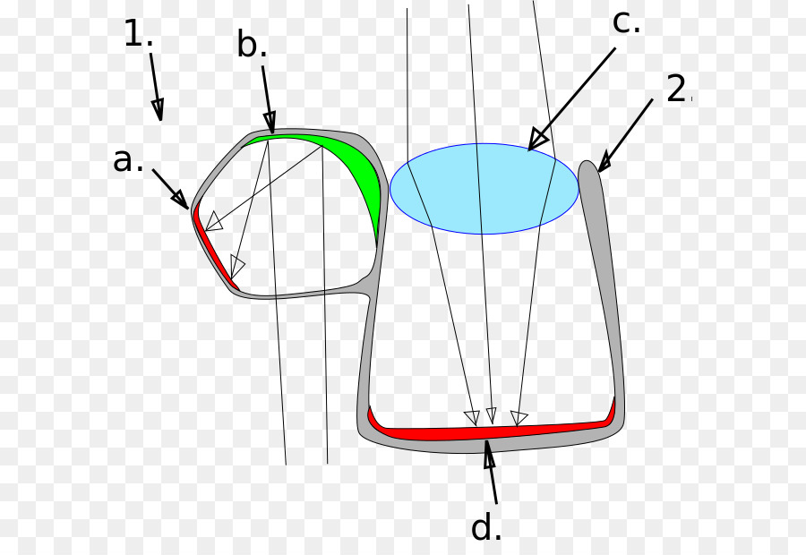 Diagrama óptico，Lente PNG