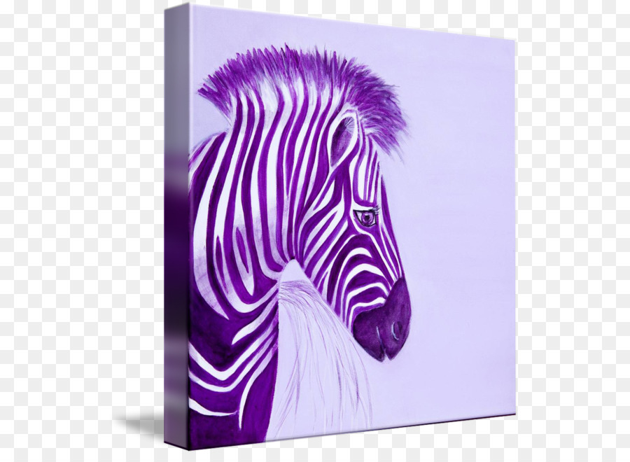 Quagga，Camilla PNG