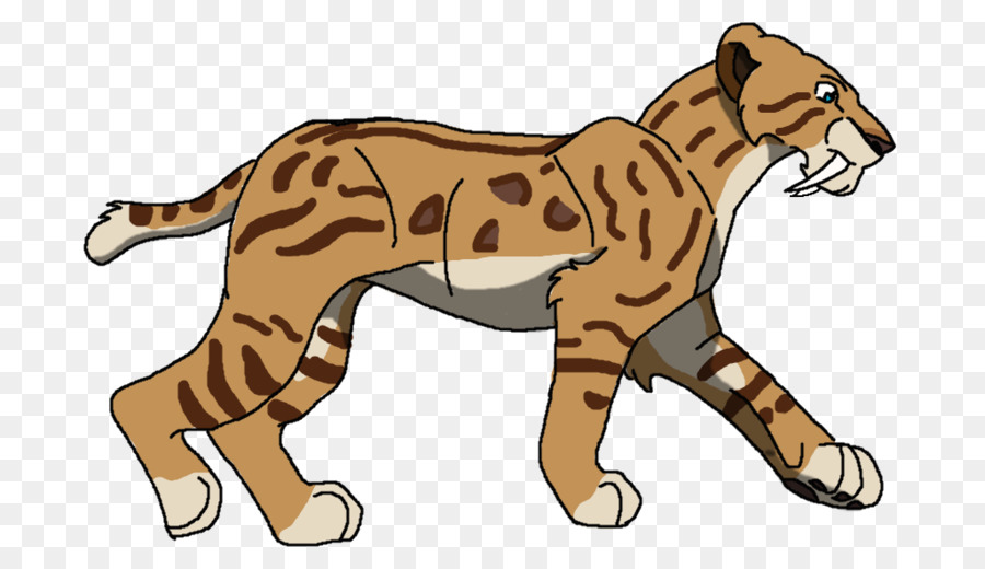 Gato，Tigre PNG