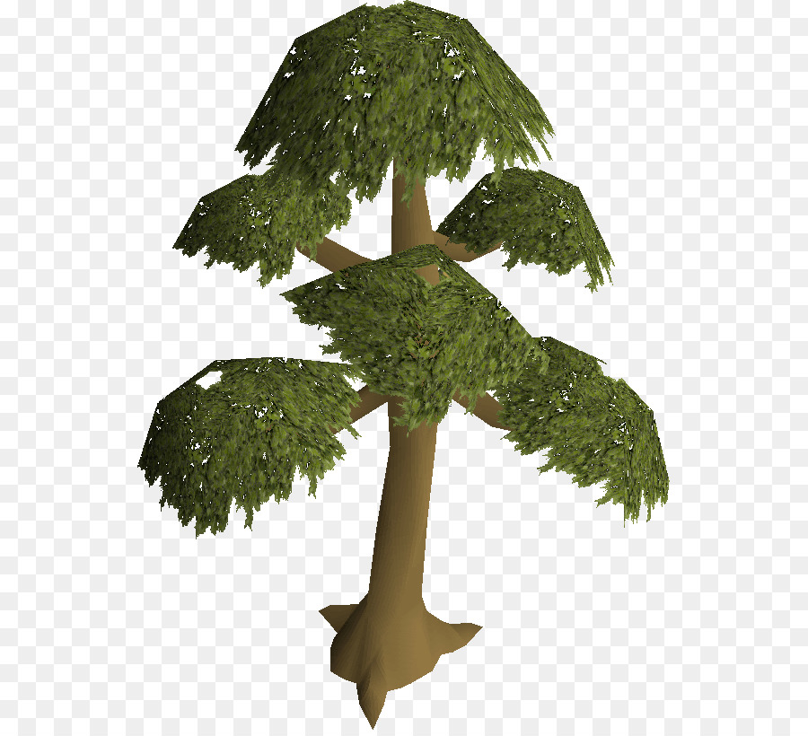 Árbol，Planta PNG