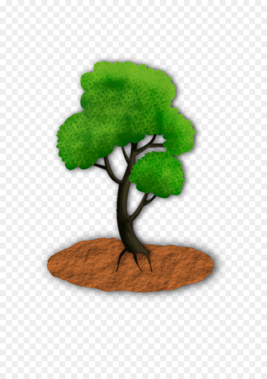 árbol，Maceta PNG