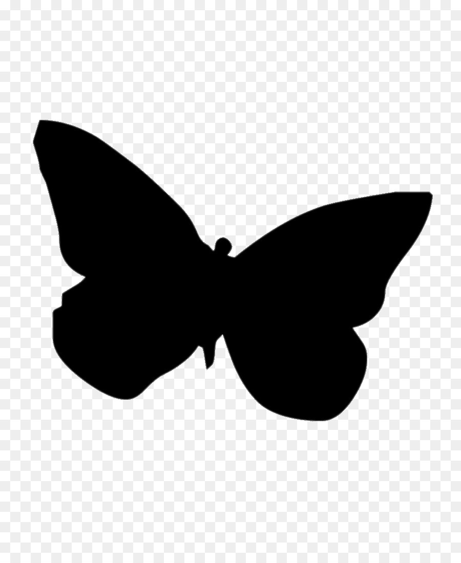 Mariposa，Silueta PNG