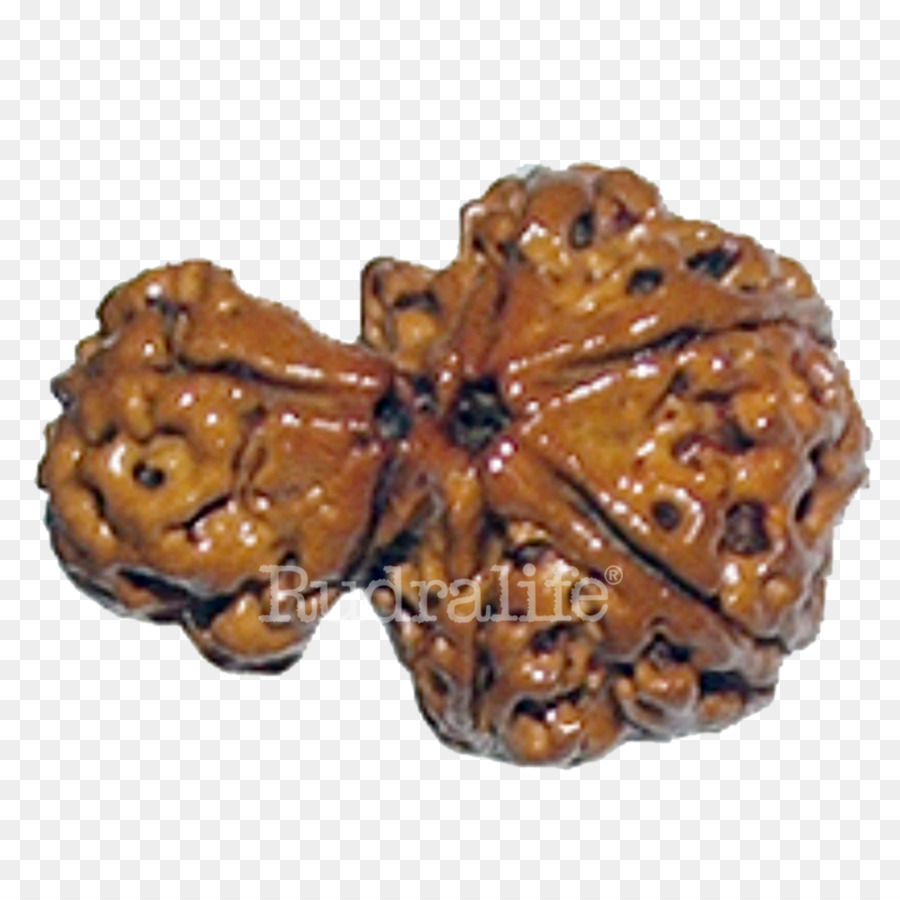 Rudraksha，Rudralife PNG