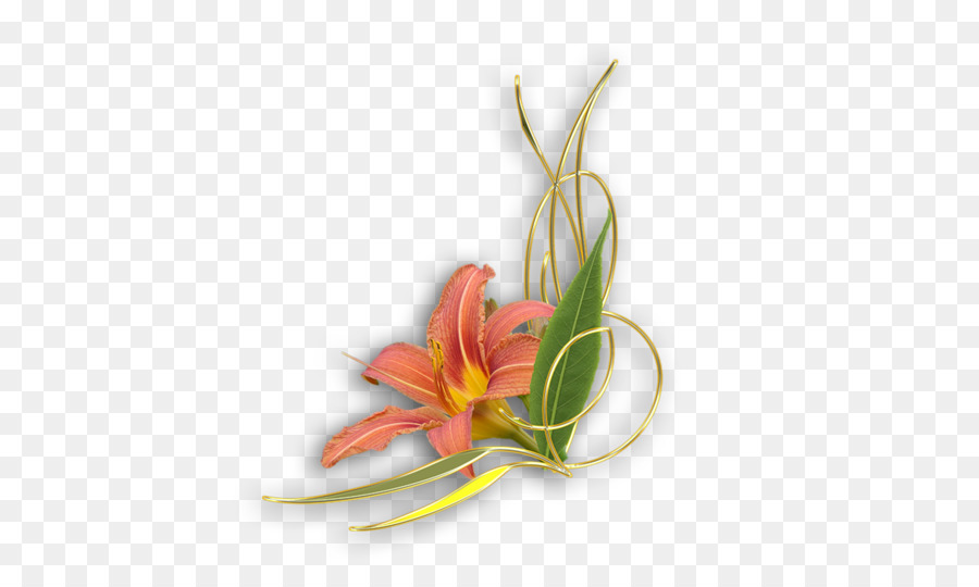 Flor，Planta PNG