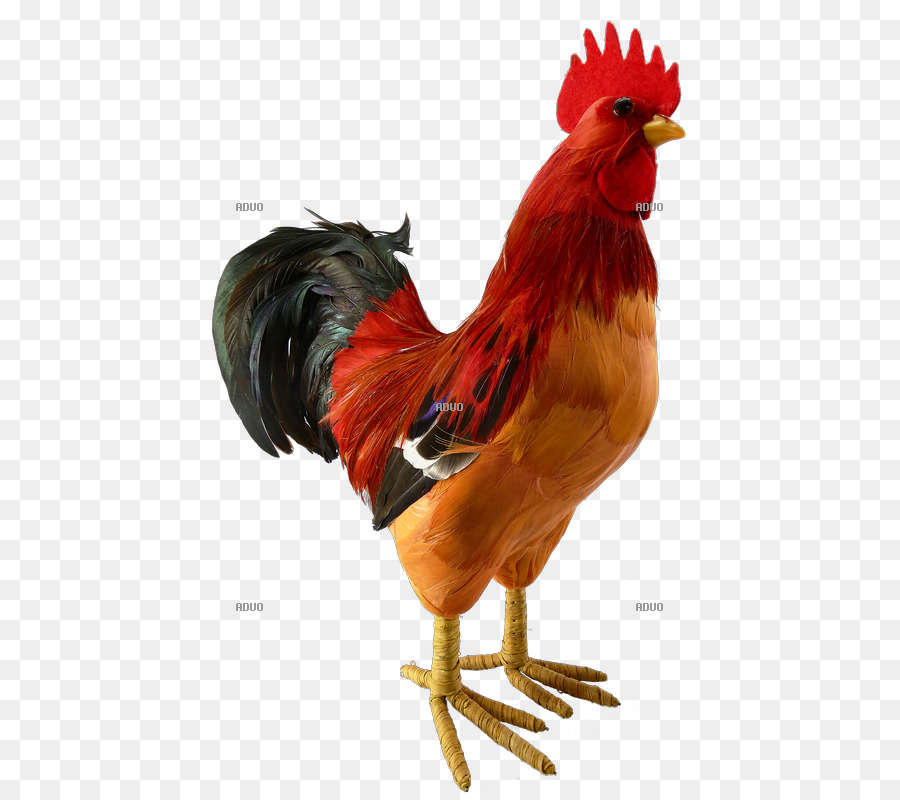 Gallo，Pollo PNG