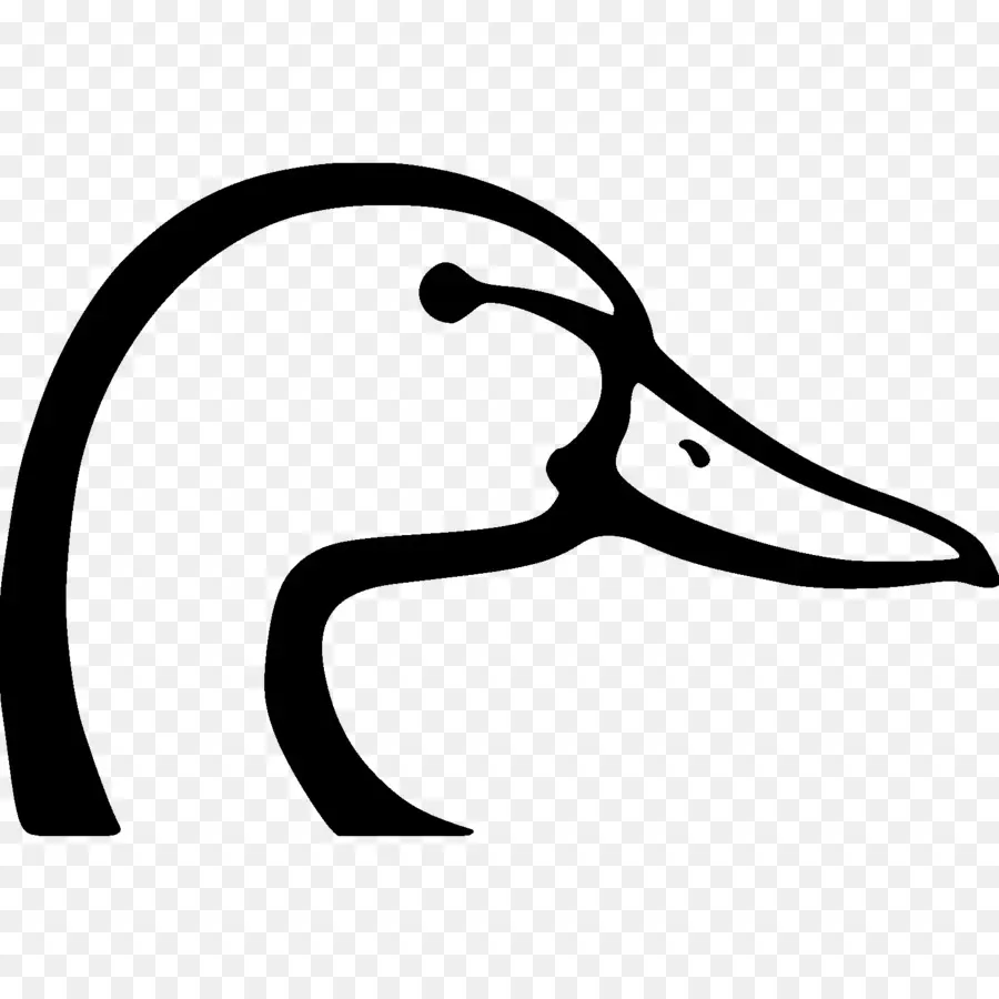 Ducks Unlimited，Pato PNG