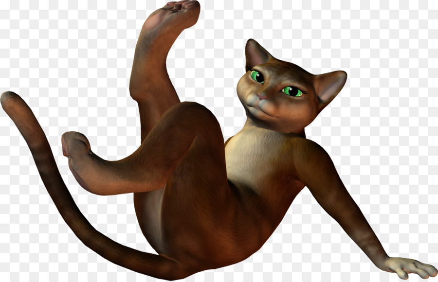 Gatito，Gato PNG