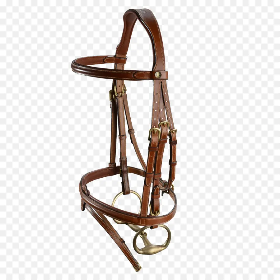 Brida，Caballo PNG