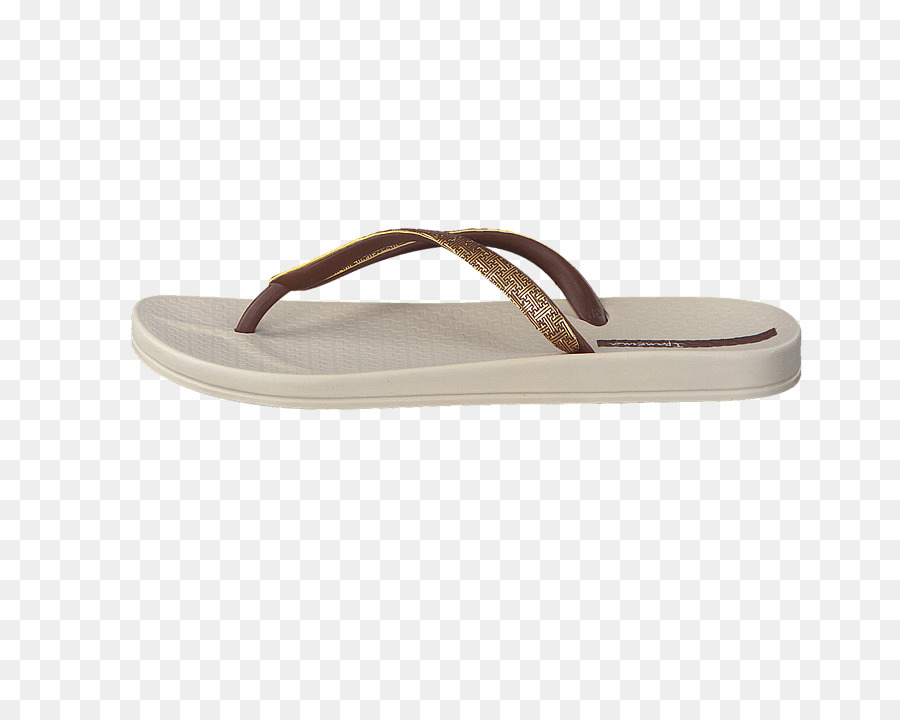 Chanclas，Zapato PNG