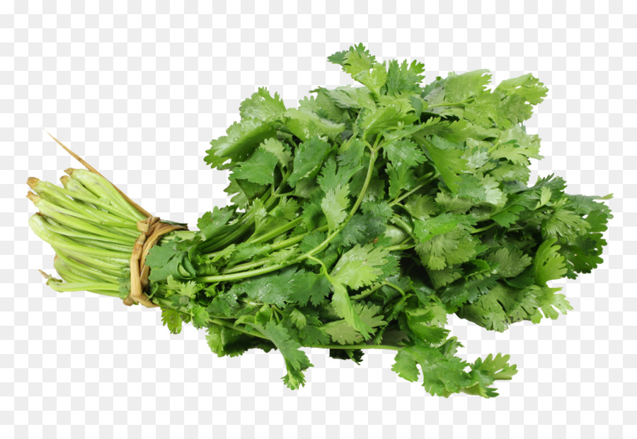 Vegetal，La Fruta PNG