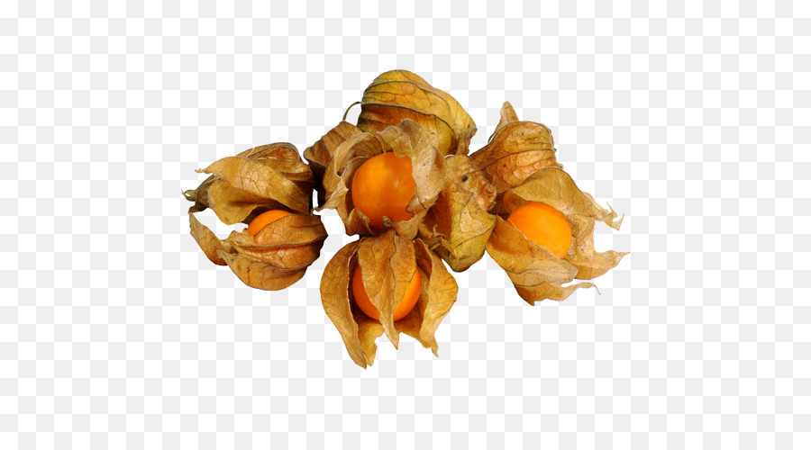 Peruano Groundcherry，Vegetal PNG