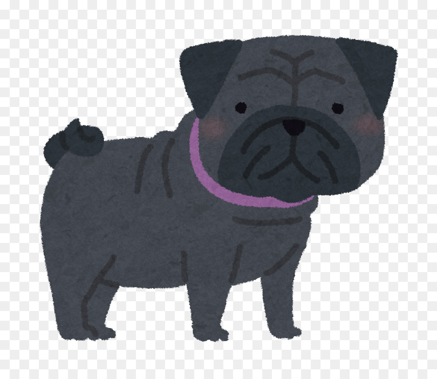 Pug，Cachorro PNG