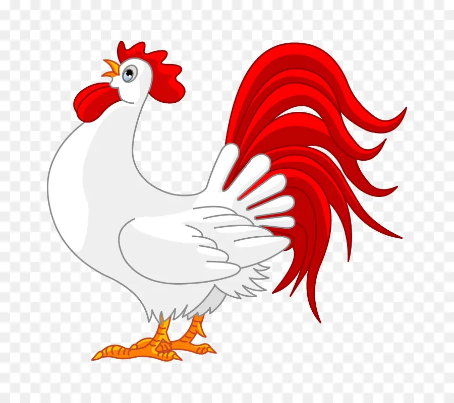 Pollo，Gallina PNG