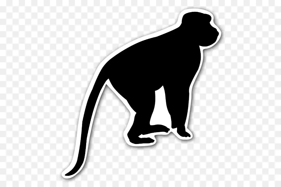 Primado，Chimpancé PNG