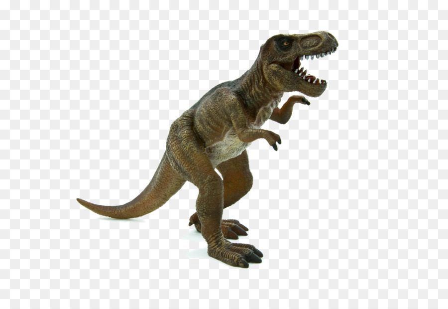 Tyrannosaurus，Triceratops PNG