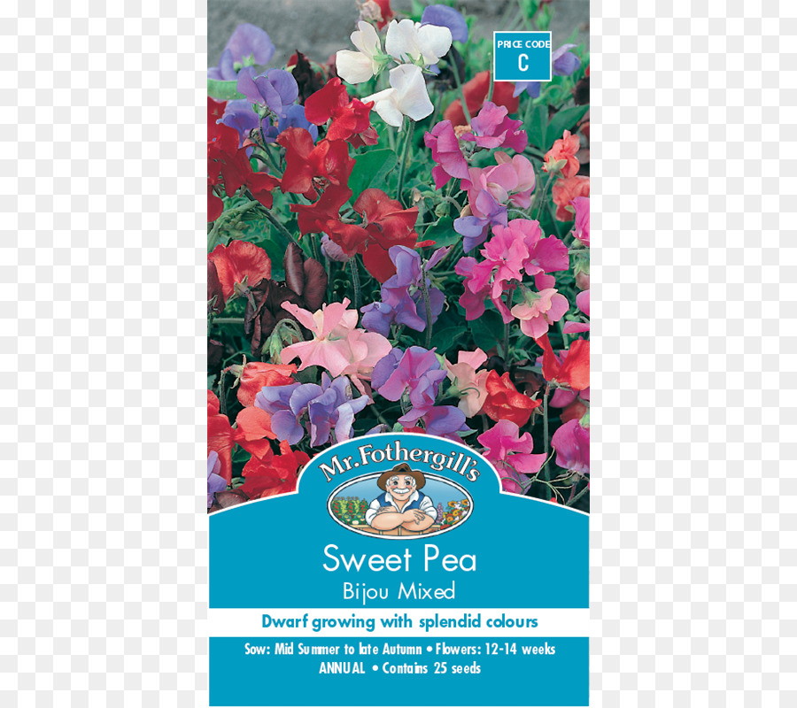 Las Flores Cortadas，Sweet Pea PNG