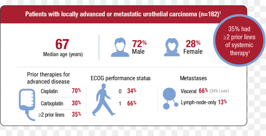 Estadísticas De Cáncer，Carcinoma Urotelial PNG