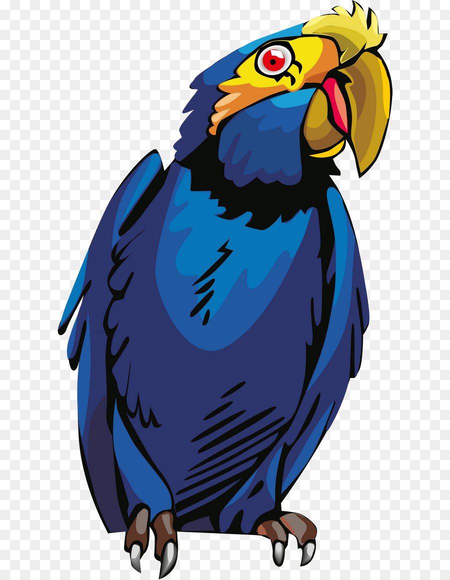 Guacamayo，Sina Corp PNG