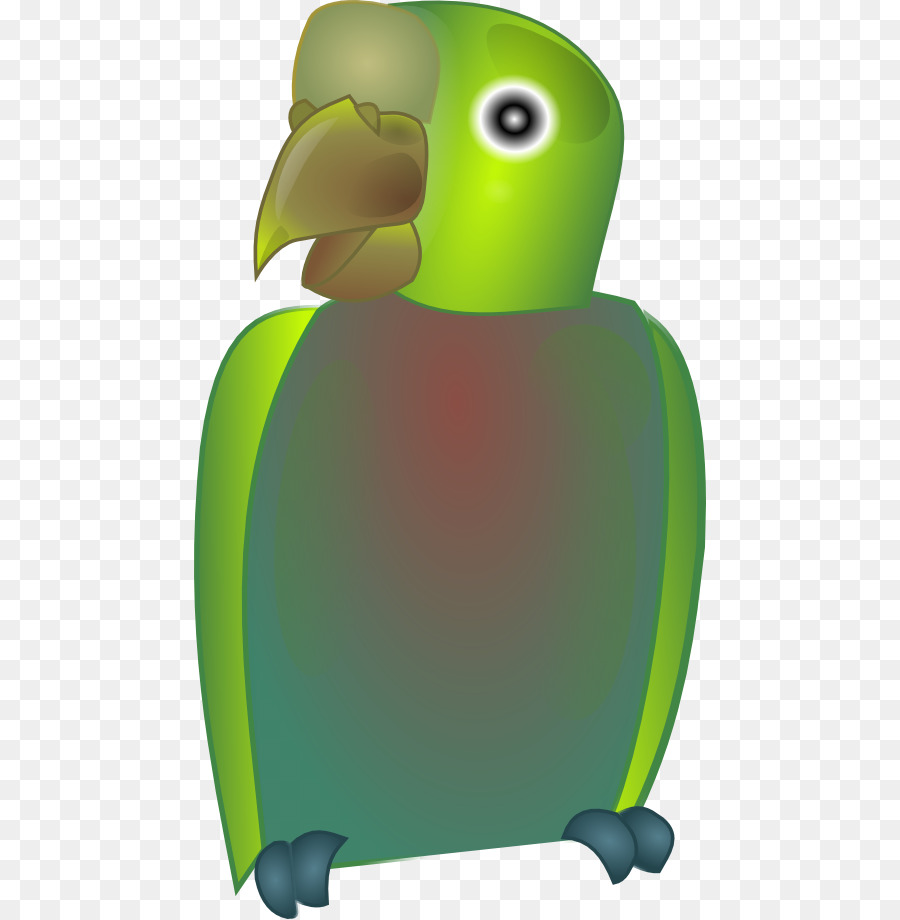 Loro，Aves PNG