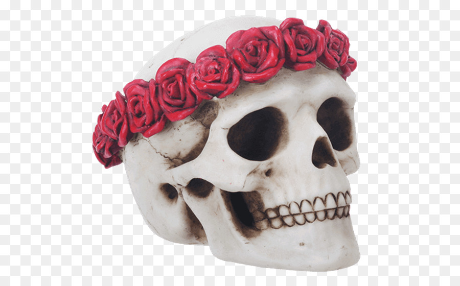 Calavera Con Rosas，Cráneo PNG