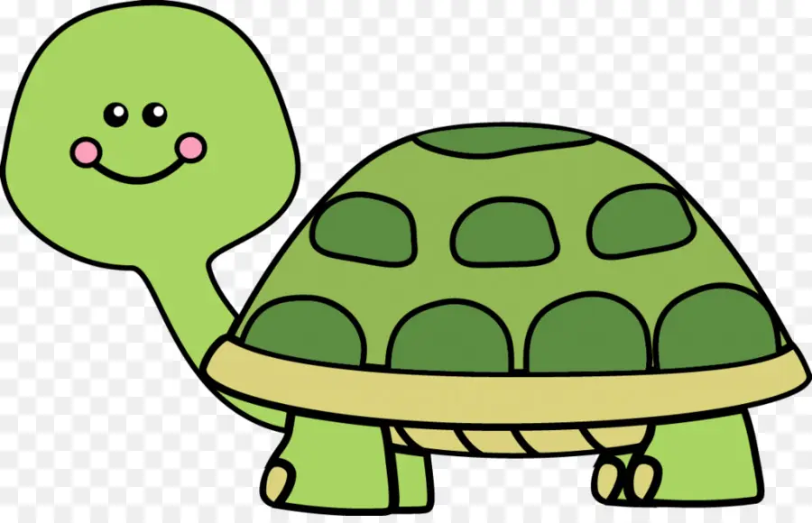 Tortuga De Dibujos Animados，Tortuga PNG