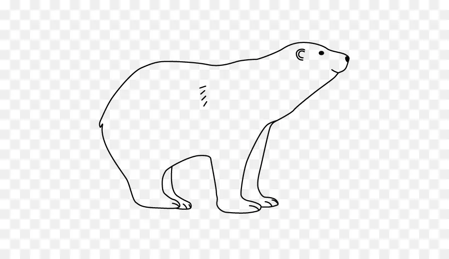 Oso，Oso Polar PNG