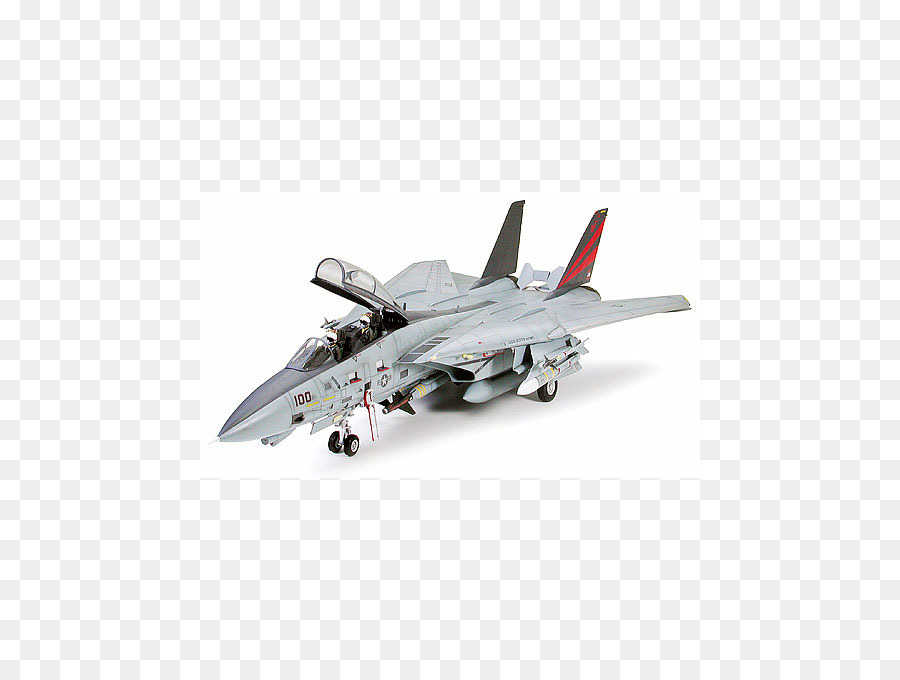 Grumman F14 Tomcat，La Aeronave PNG