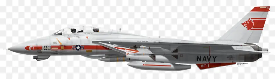 Aviones De Combate，Grumman F14 Tomcat PNG