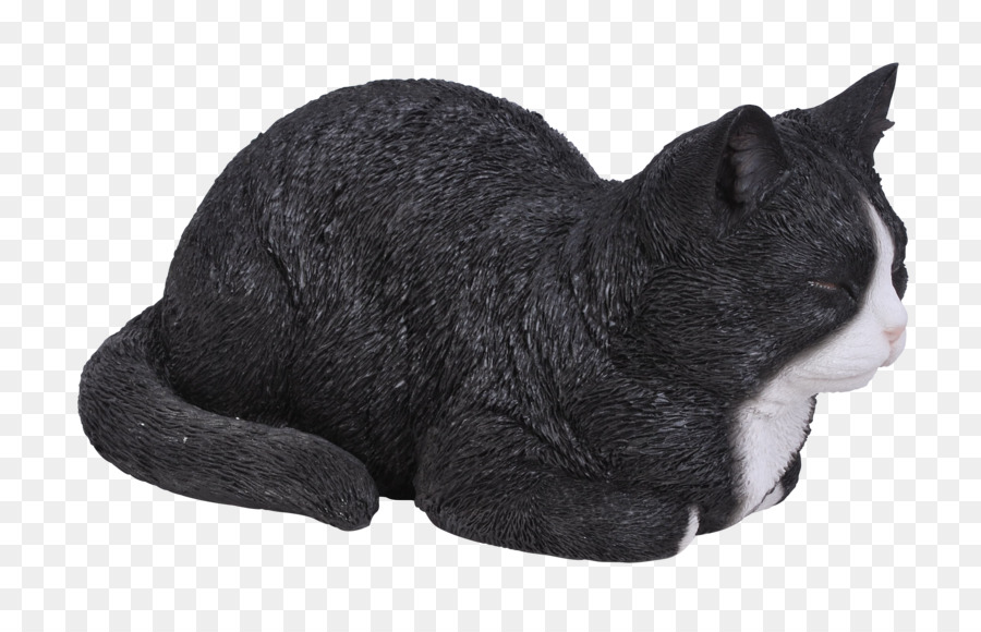 Gato，Schnauzer Miniatura PNG