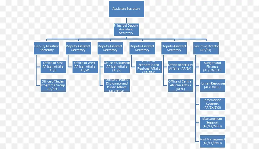 Organización，Organigrama PNG