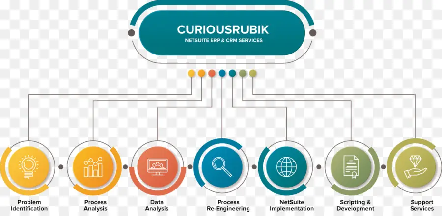 Netsuite，Proceso De Negocio PNG