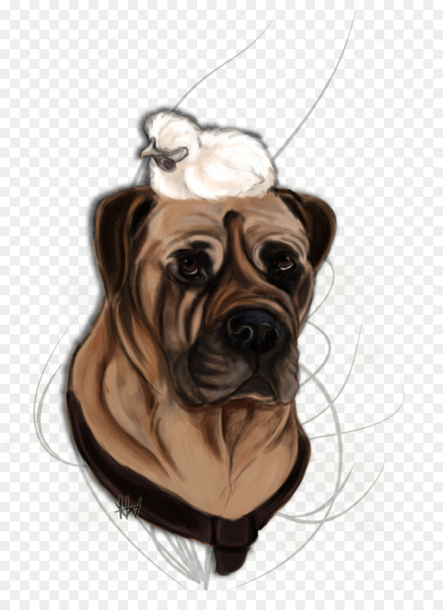 Raza De Perro，Pug PNG