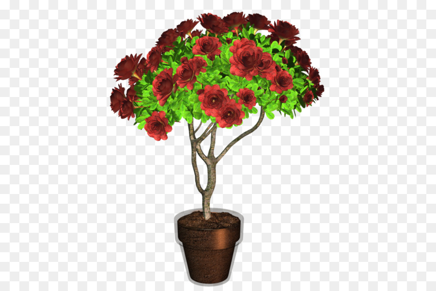 Maceta，Planta PNG