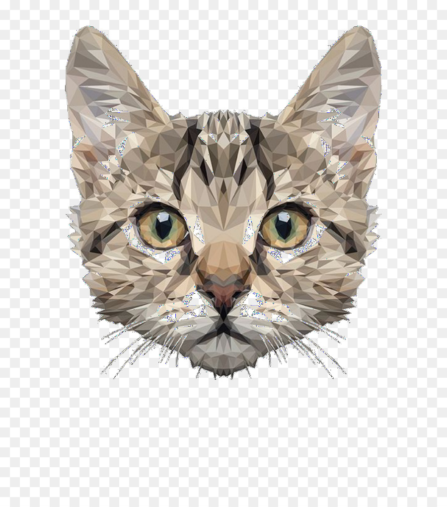 Maine Coon，Perro PNG