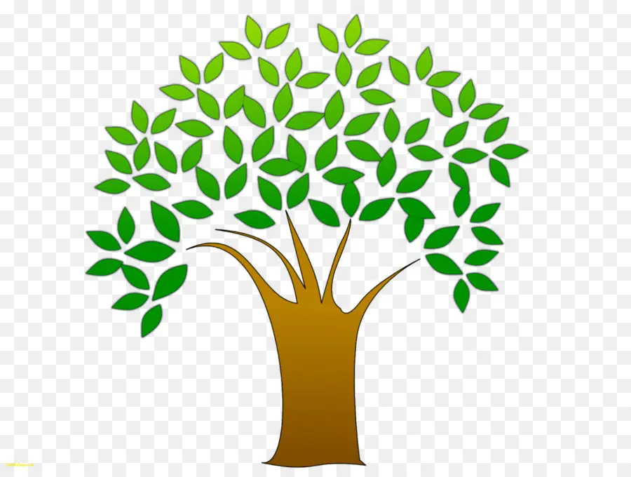 árbol，Logo PNG