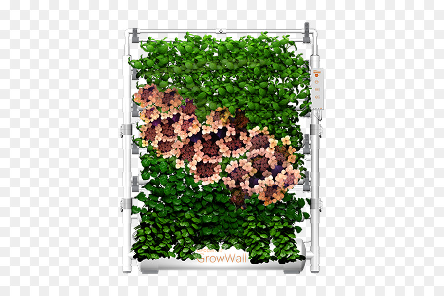 Hoja，Árbol PNG