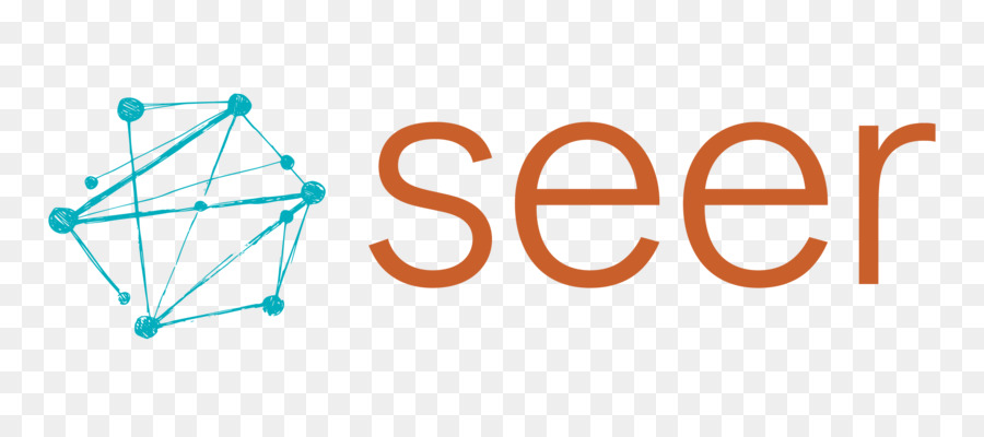 Seer Interactive，Negocio PNG