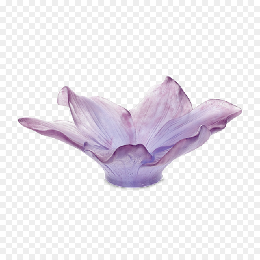 Daum，Florero PNG