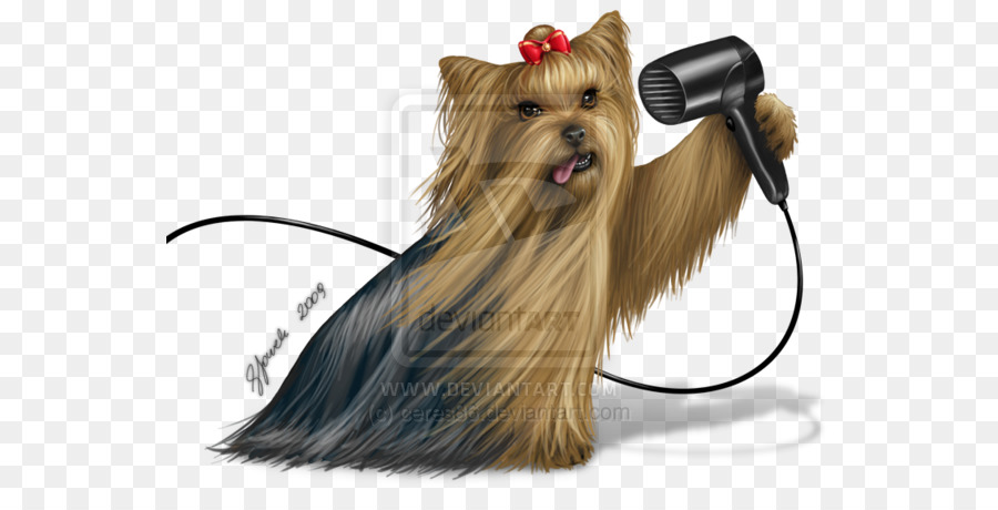 Terrier De Yorkshire，Secador De Pelo PNG